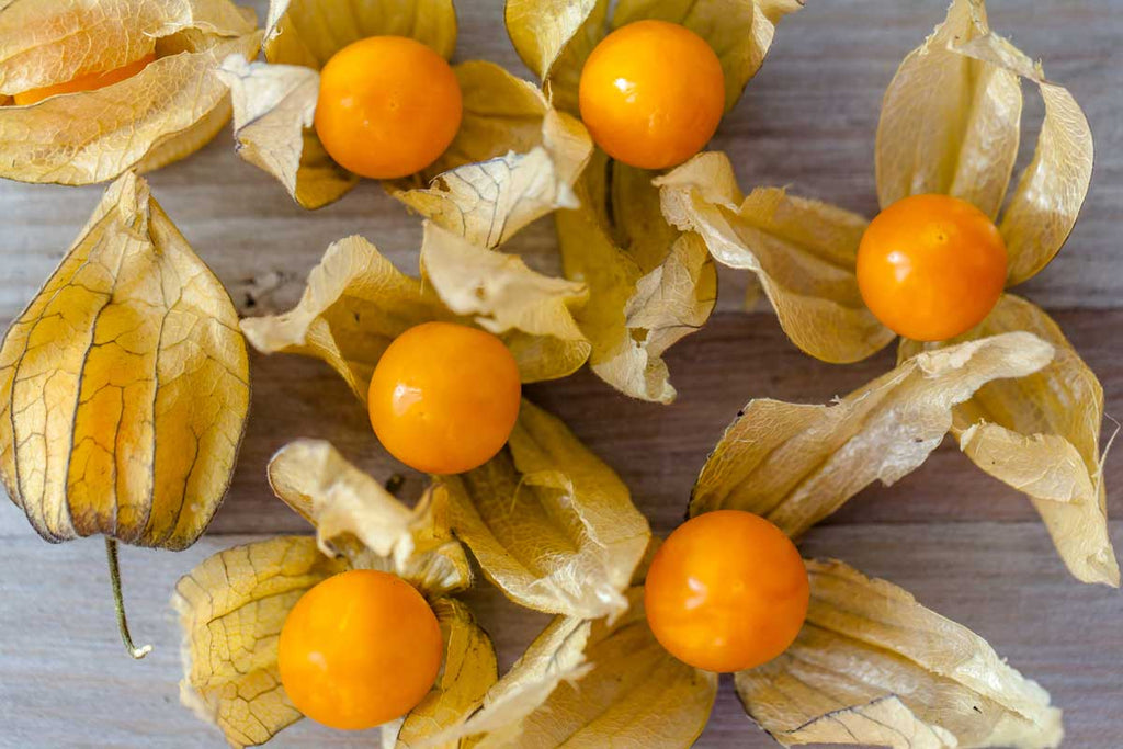 Aunt Molly's Ground Cherry Seeds - NEW!