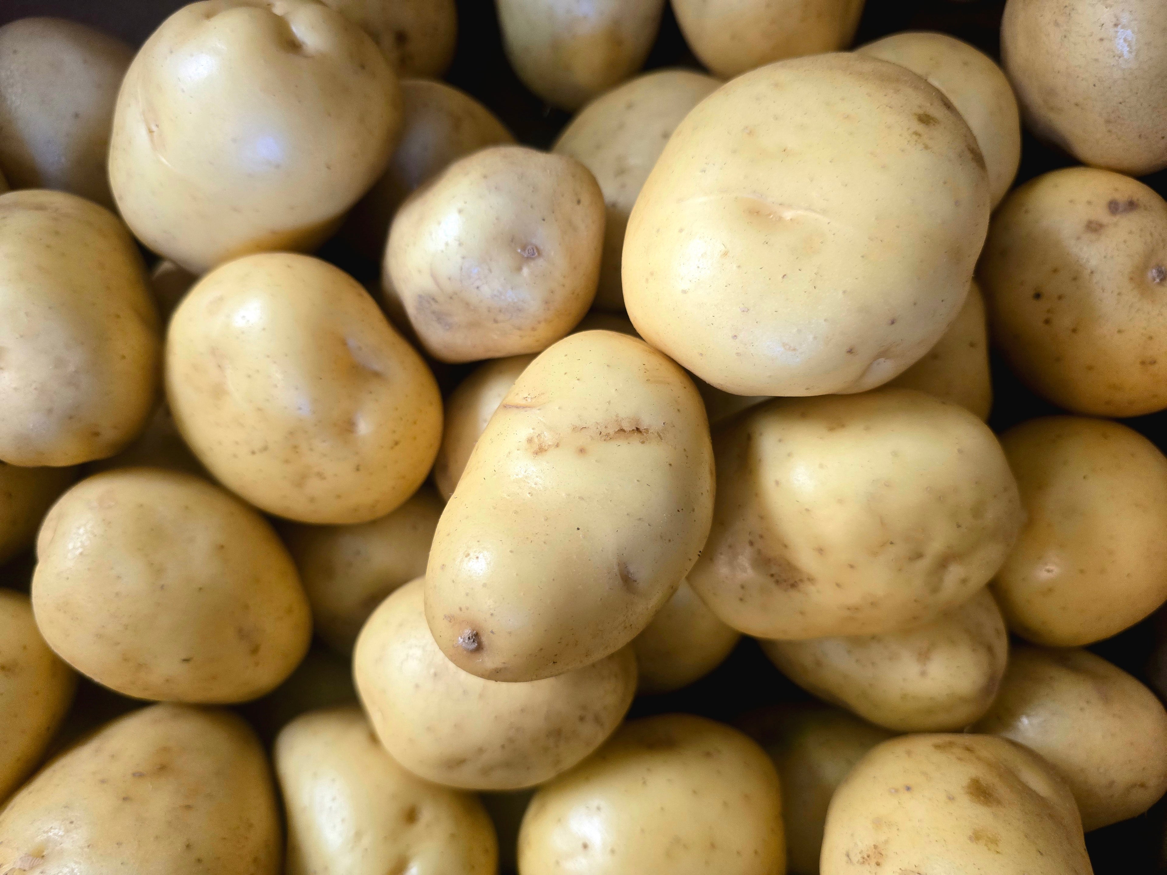 BC Yellow Potatoes