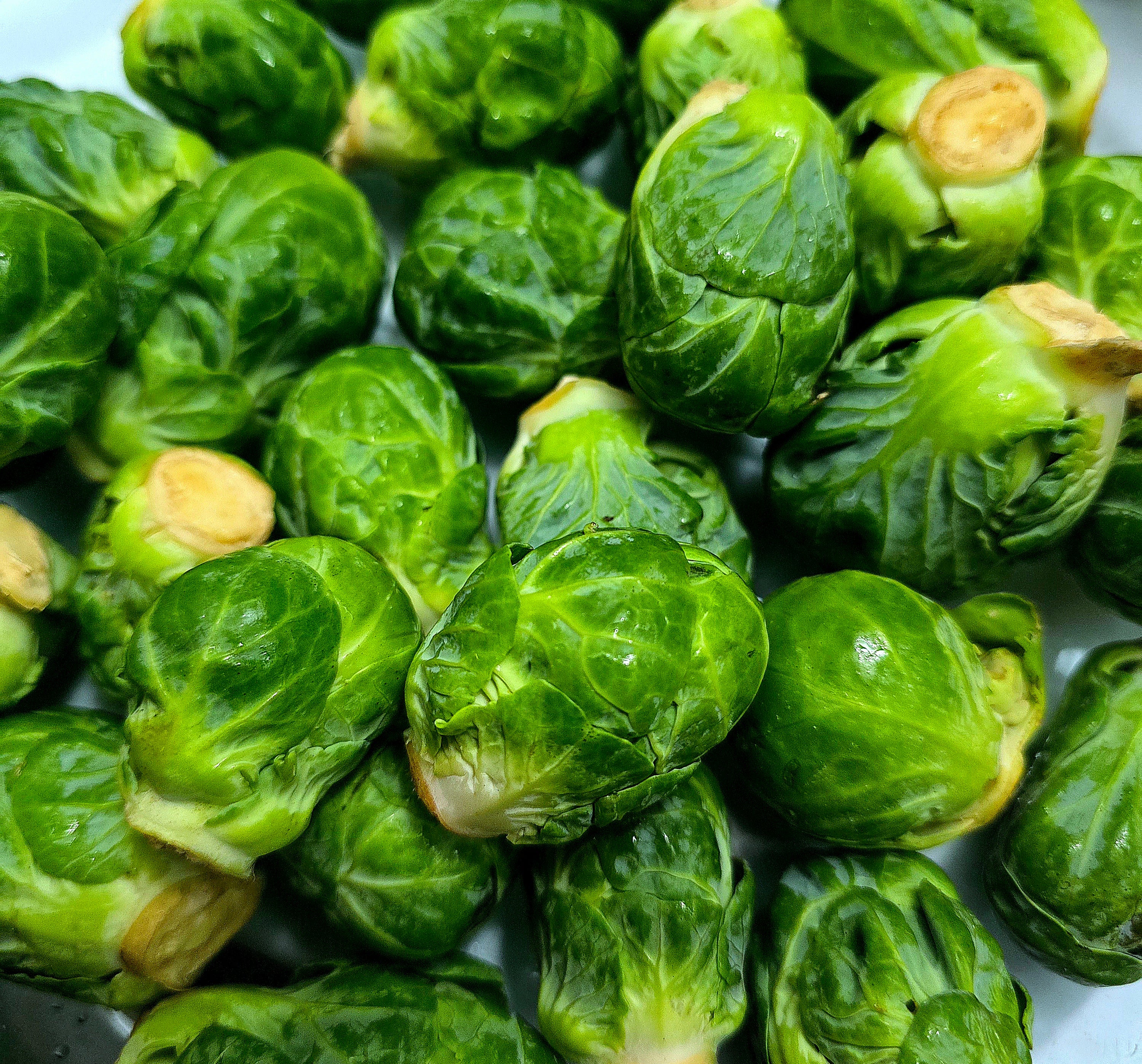 BC Brussel Sprouts