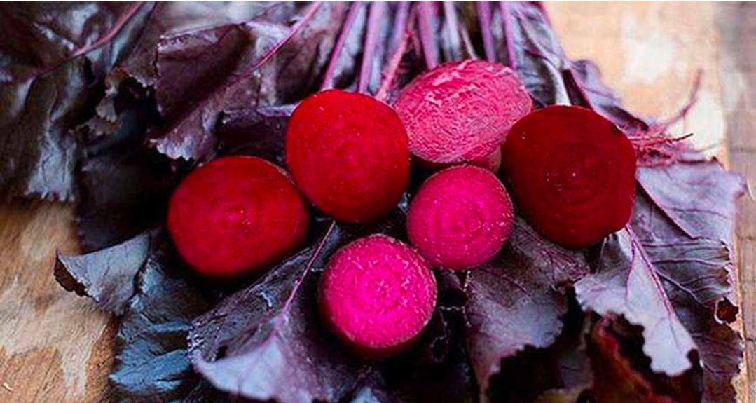 Certified Organic Bulls Blood Beet Seeds