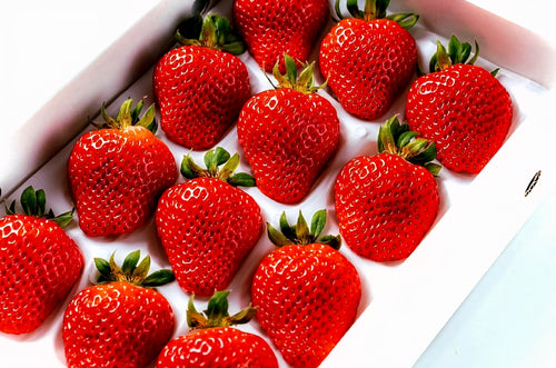 Berrylicious Specialty Japanese Strawberry Seeds – Rooted In Nature