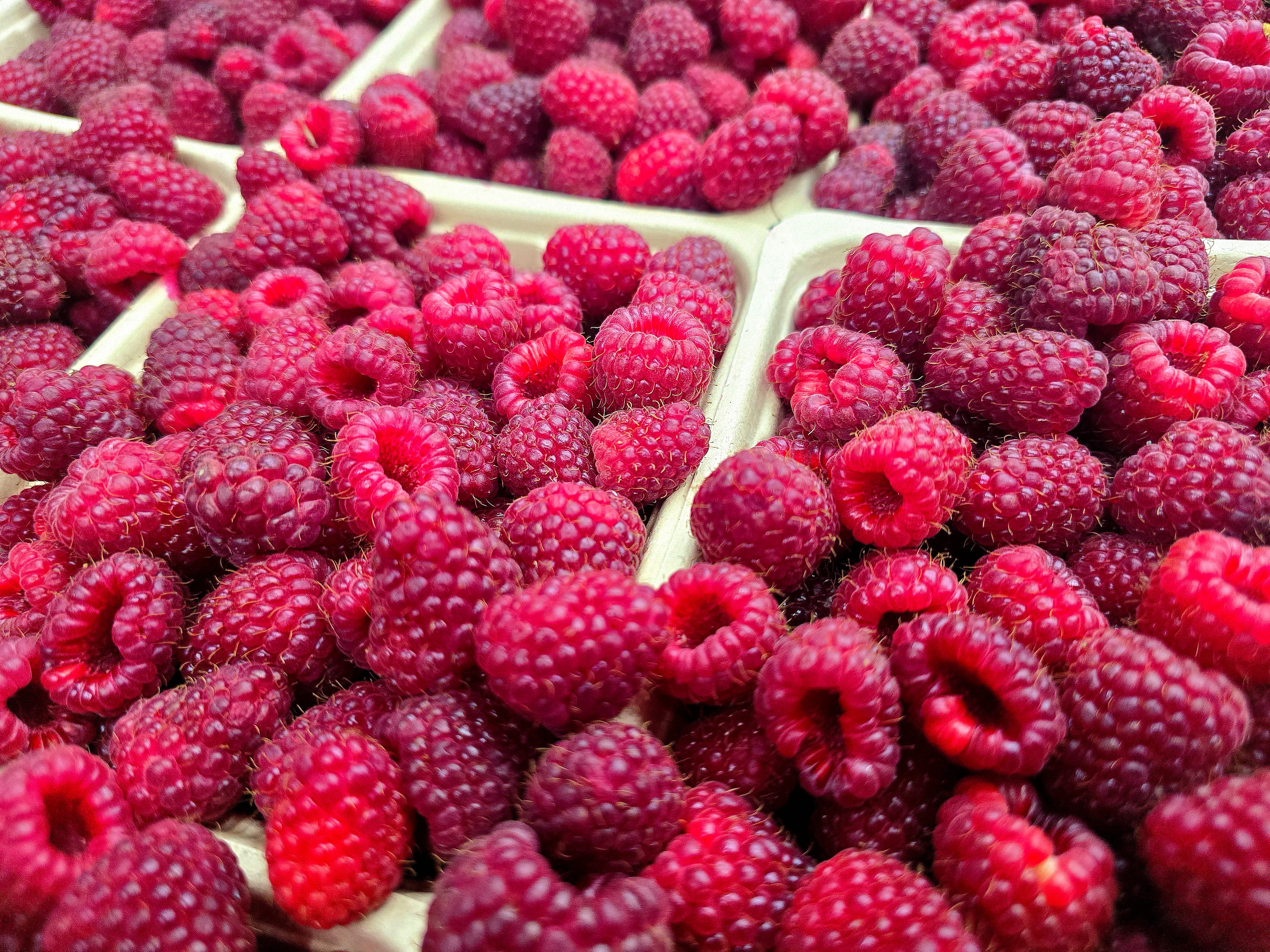 BC Raspberries