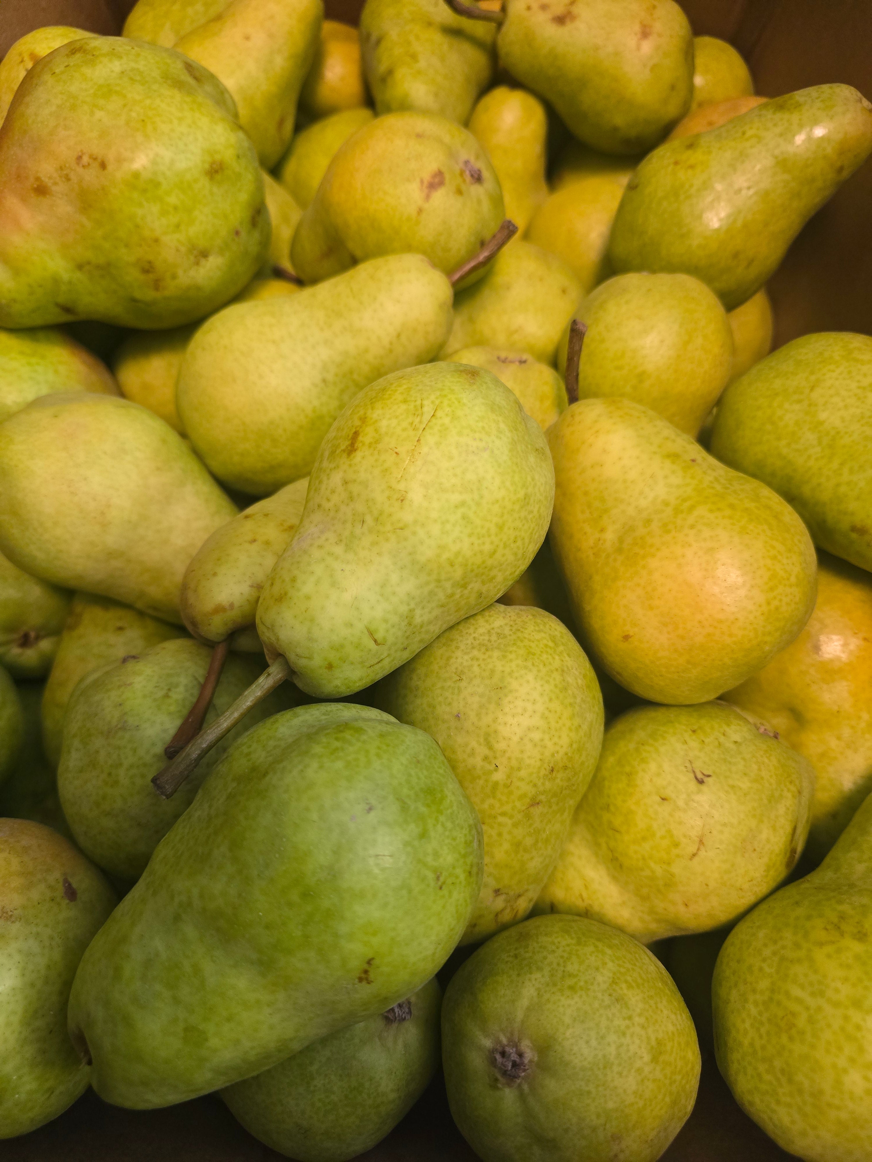 BC Bartlett Pears