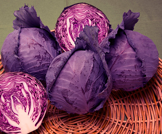Ruby Ball Cabbage Seed