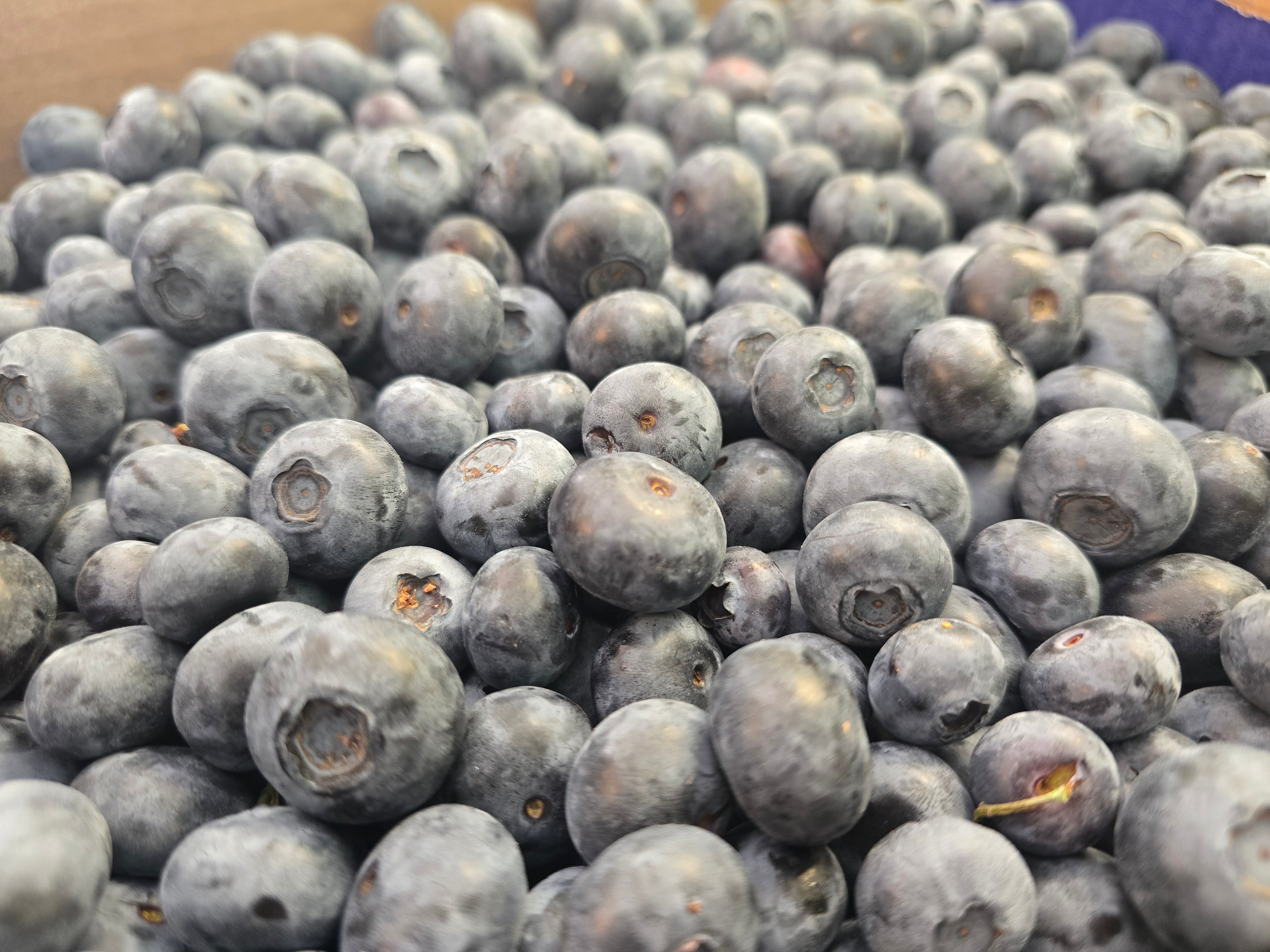 BC Frozen Blueberries