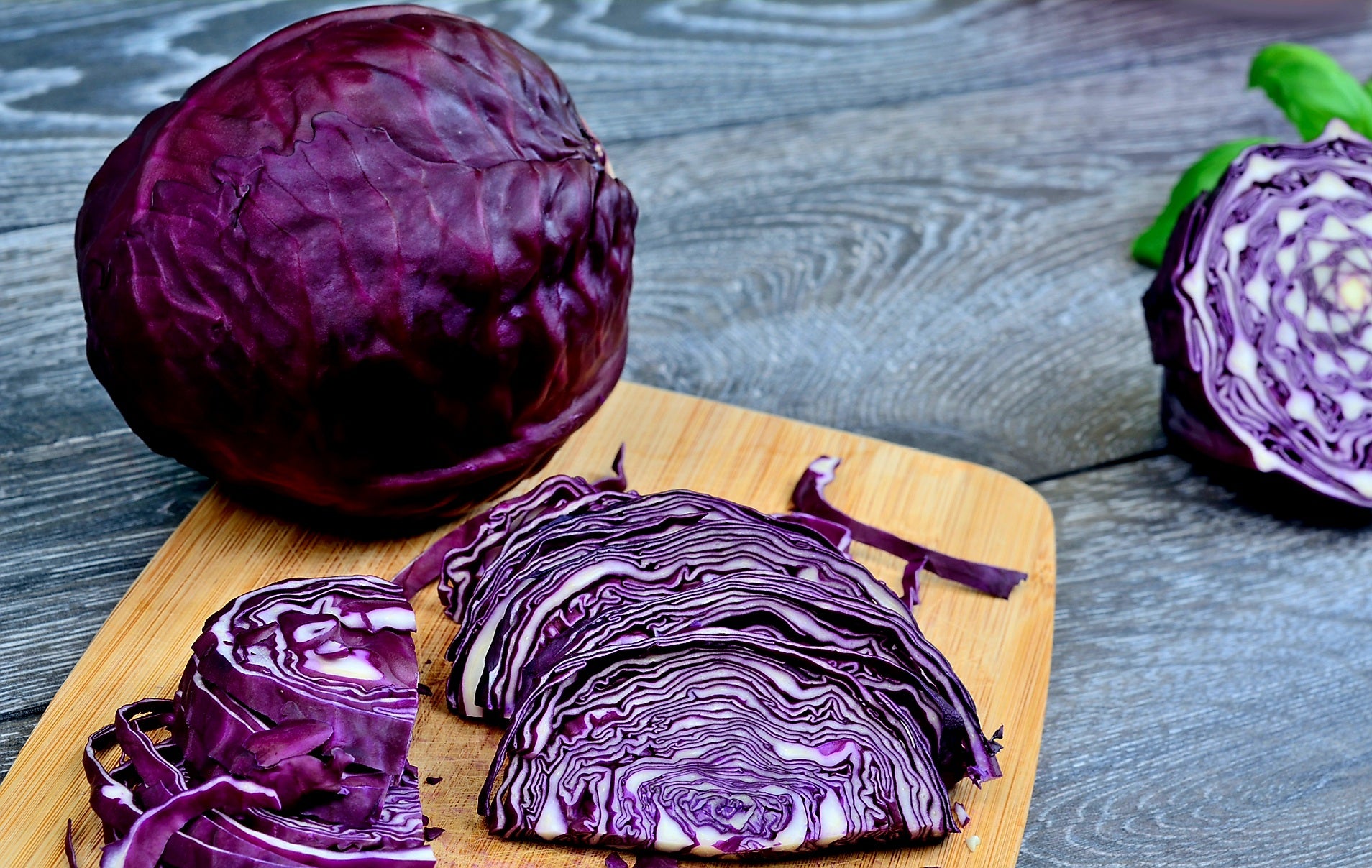 BC Purple Cabbage