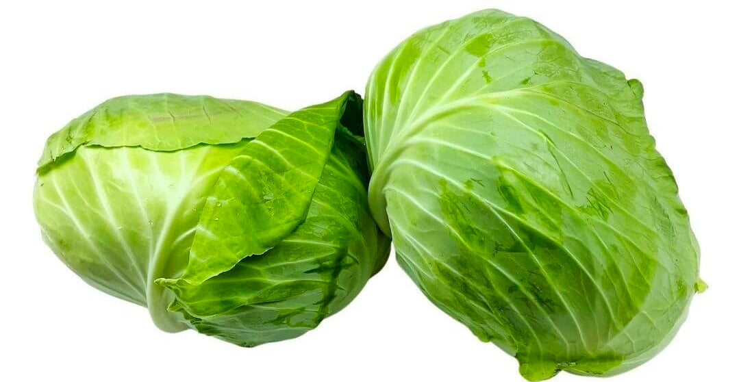 Big Flat Head Cabbage Seed