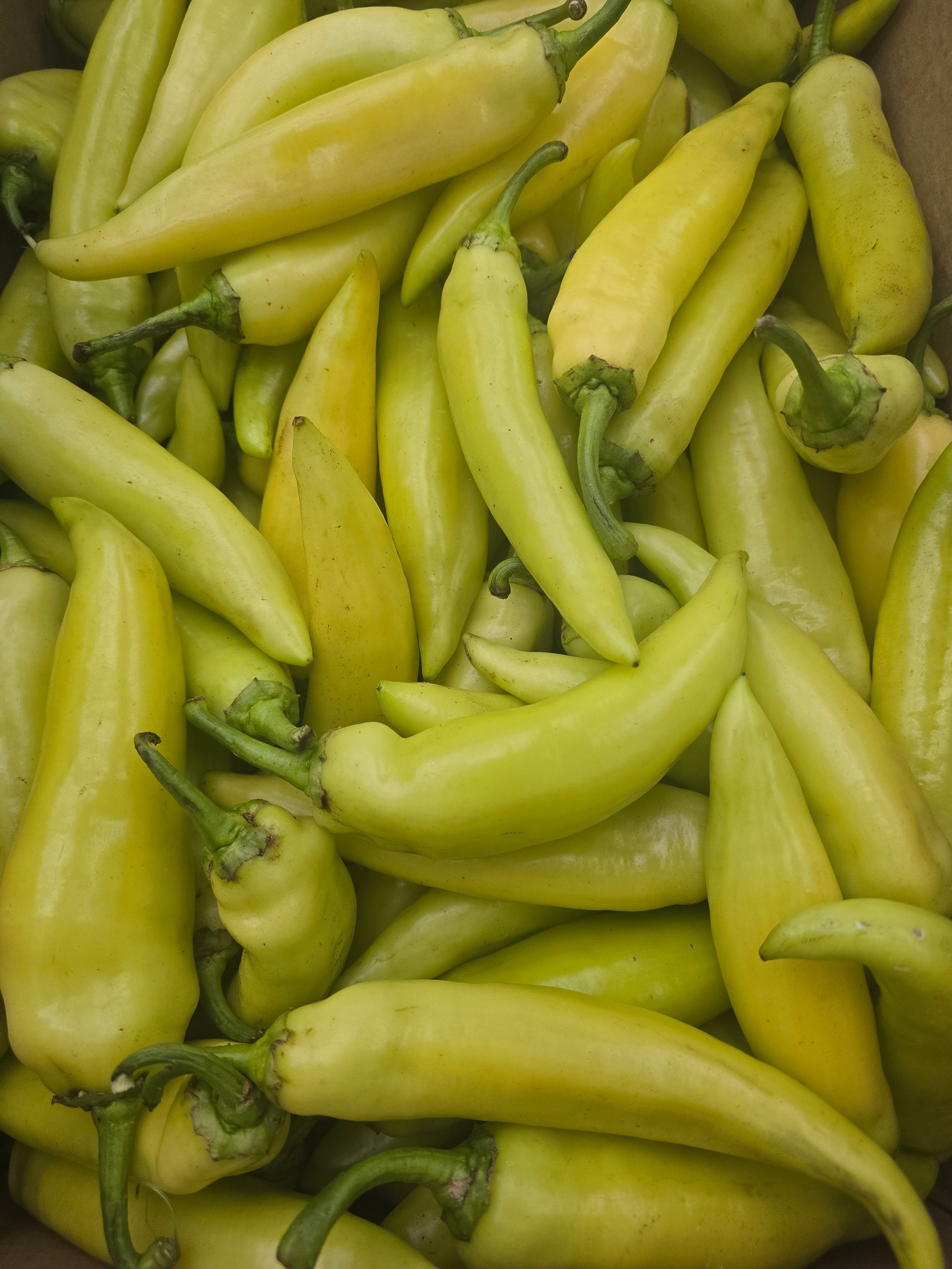 Hot Banana Peppers