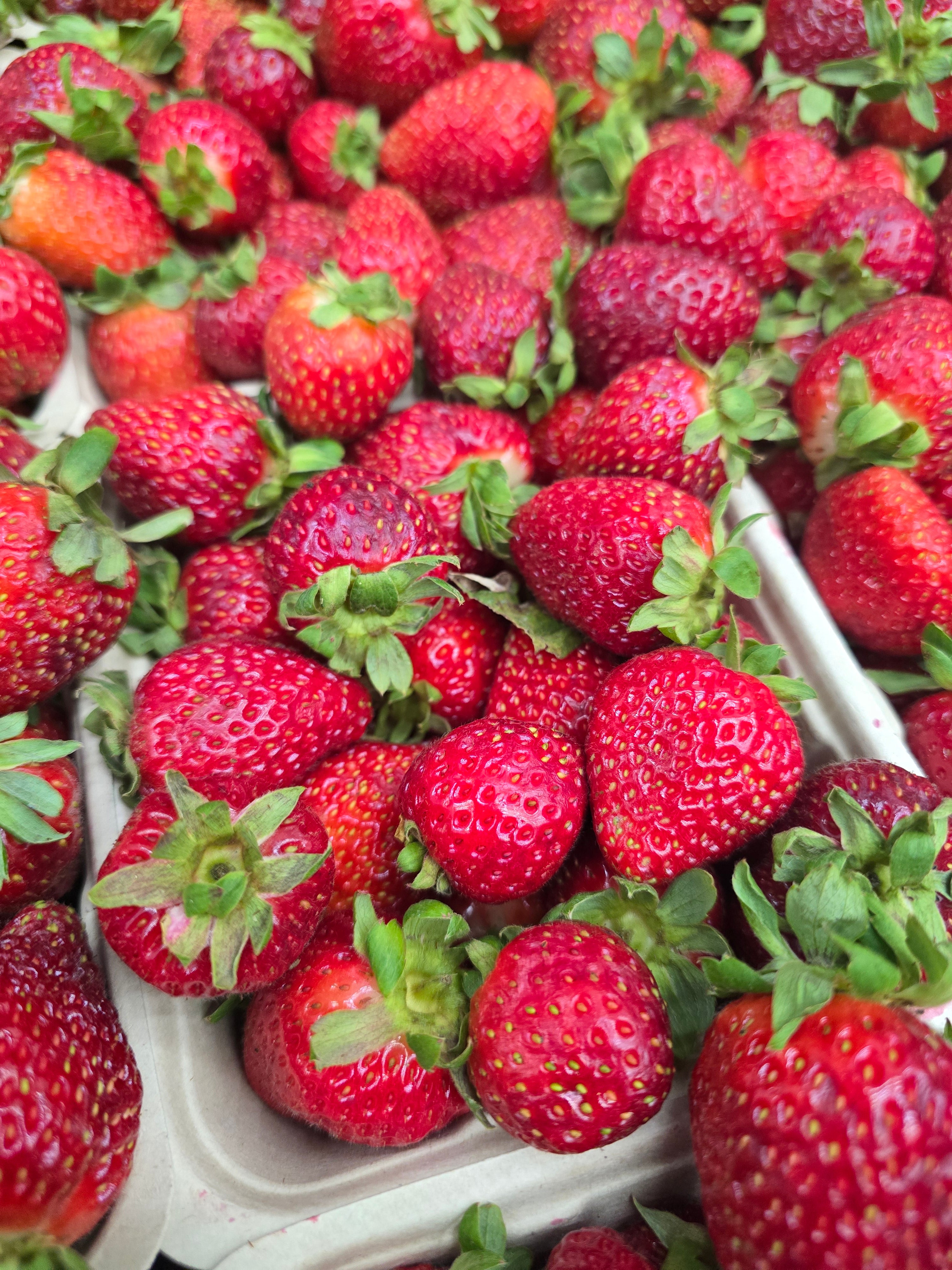 BC Strawberries