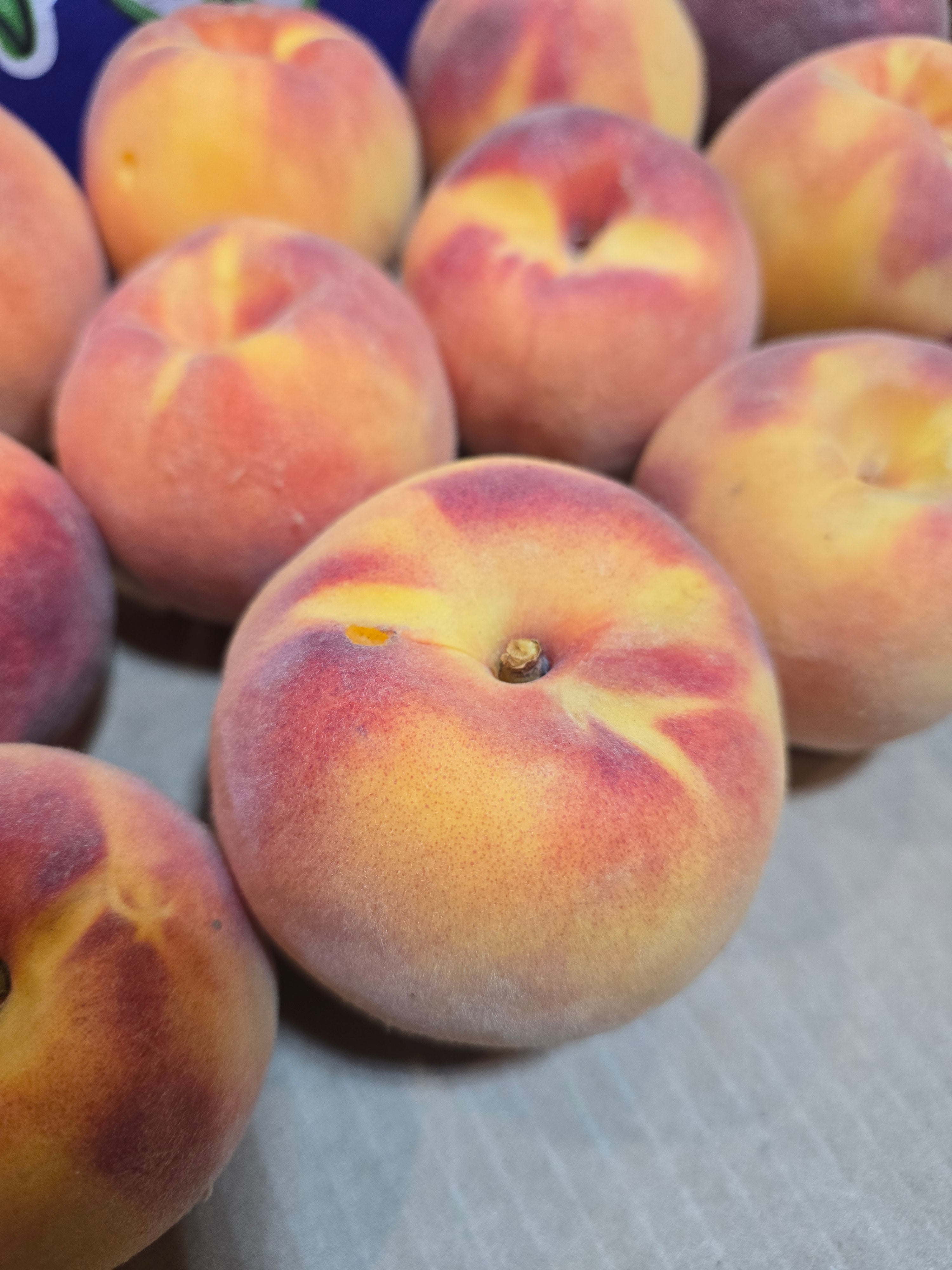 BC Cresthaven Peaches (Freestone)