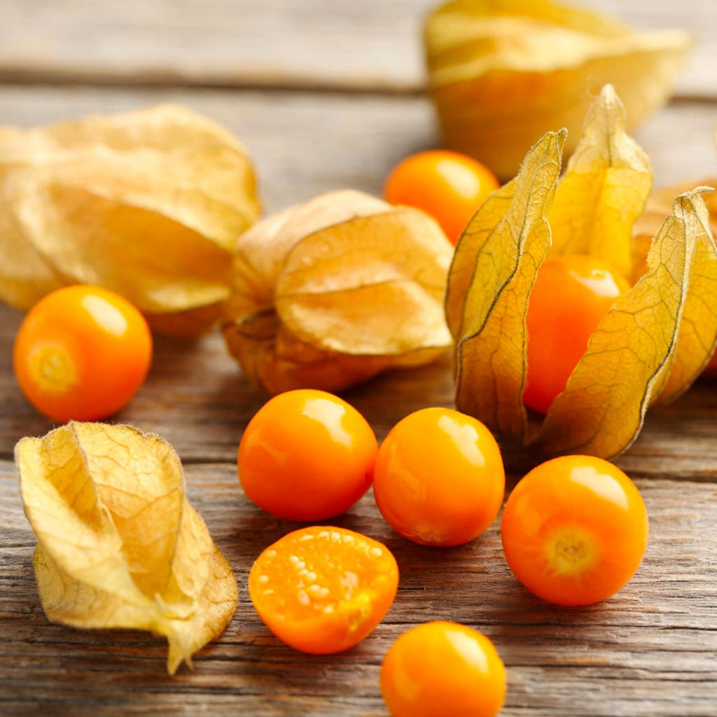 Aunt Molly's Ground Cherry Seeds - NEW!